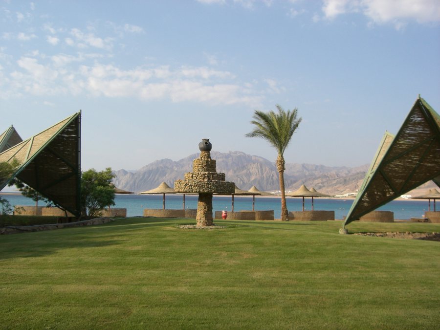 Strand mit Palmen und Bergkulisse in Dahab, Ägypten