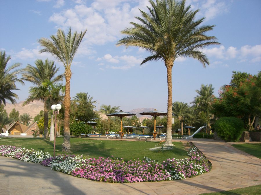 Resortgarten mit Palmen und Blumenbeeten in Ägypten