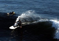 Surfer