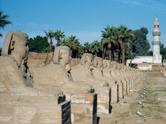 Teil der Sphinx-Allee am Luxor-Tempel